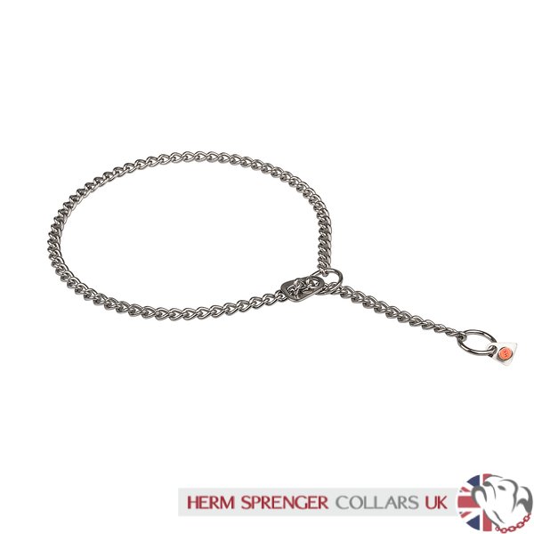 dog collar metal clasp