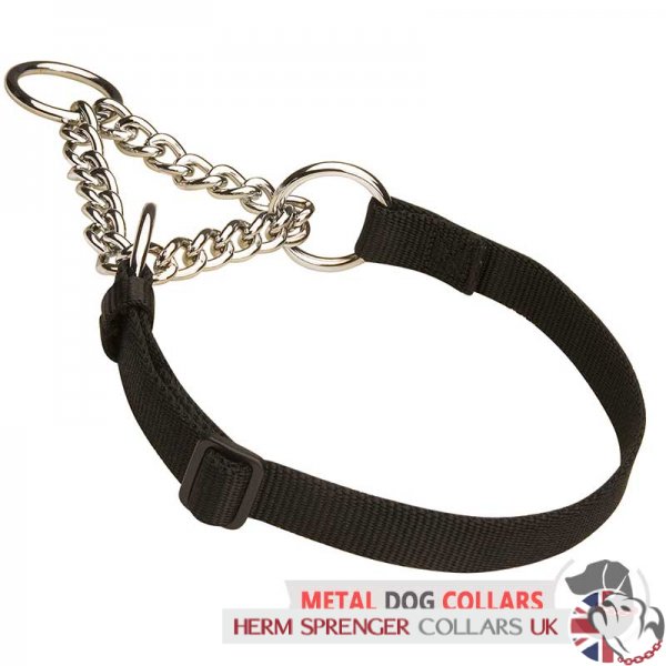 dog collar chain and nylon