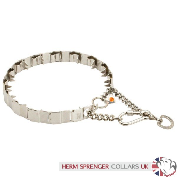 Martingale hotsell pinch collar