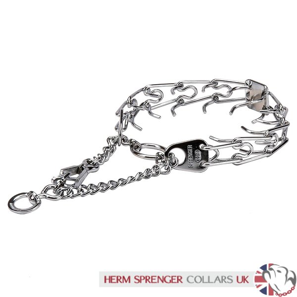 sprenger dog pinch collar