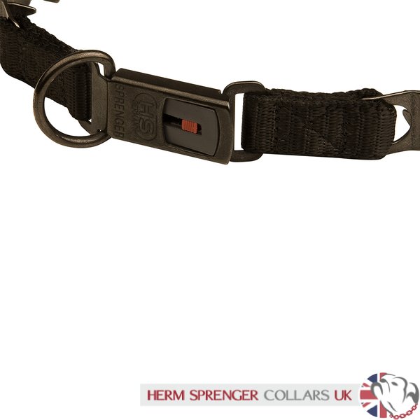 Flat buckle cheap collar injuries