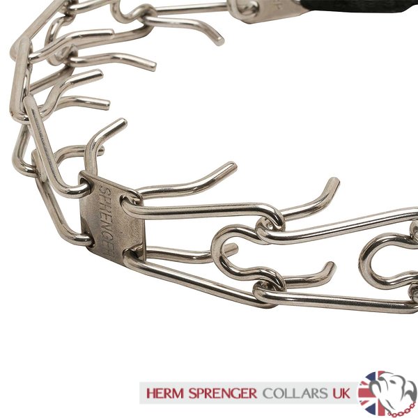 Prong collar with clasp best sale