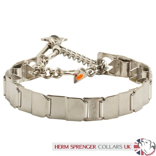 herm sprenger martingale dog collar