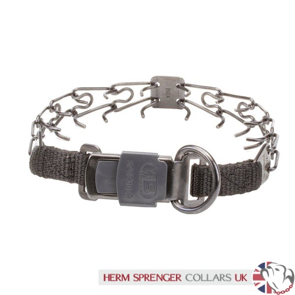 dog collars with buckles