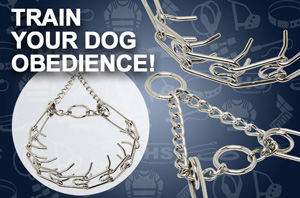 Pinch Dog Collar